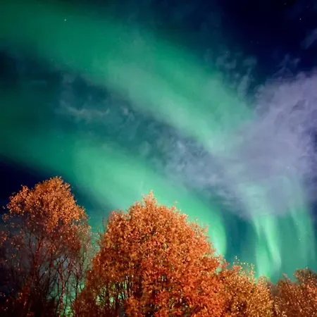 Apartment, 4km Fra Tromsosentrum. Flyplass 1.71km. *