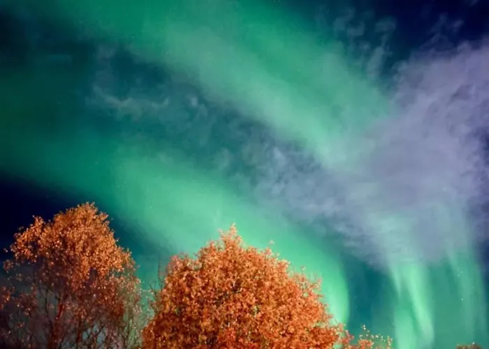 Apartment, 4km Fra Tromsosentrum. Flyplass 1.71km. *